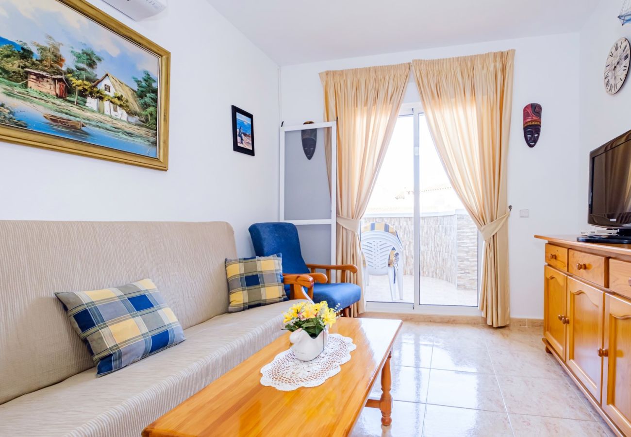 Apartment in Torrevieja - ID96