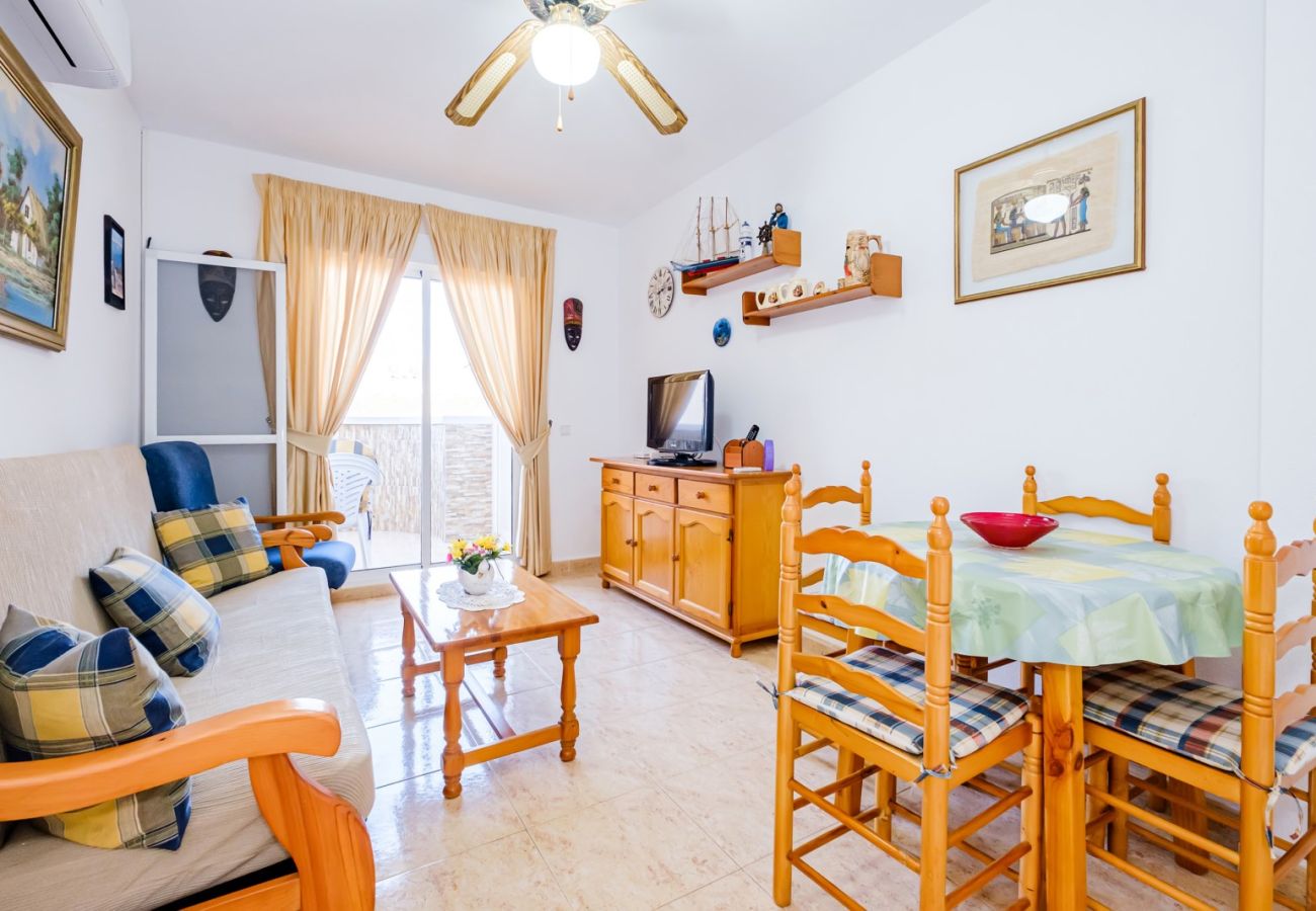 Apartment in Torrevieja - ID96
