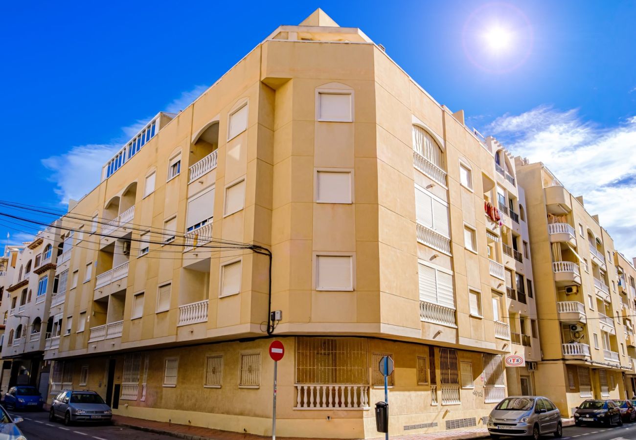 Apartment in Torrevieja - ID96