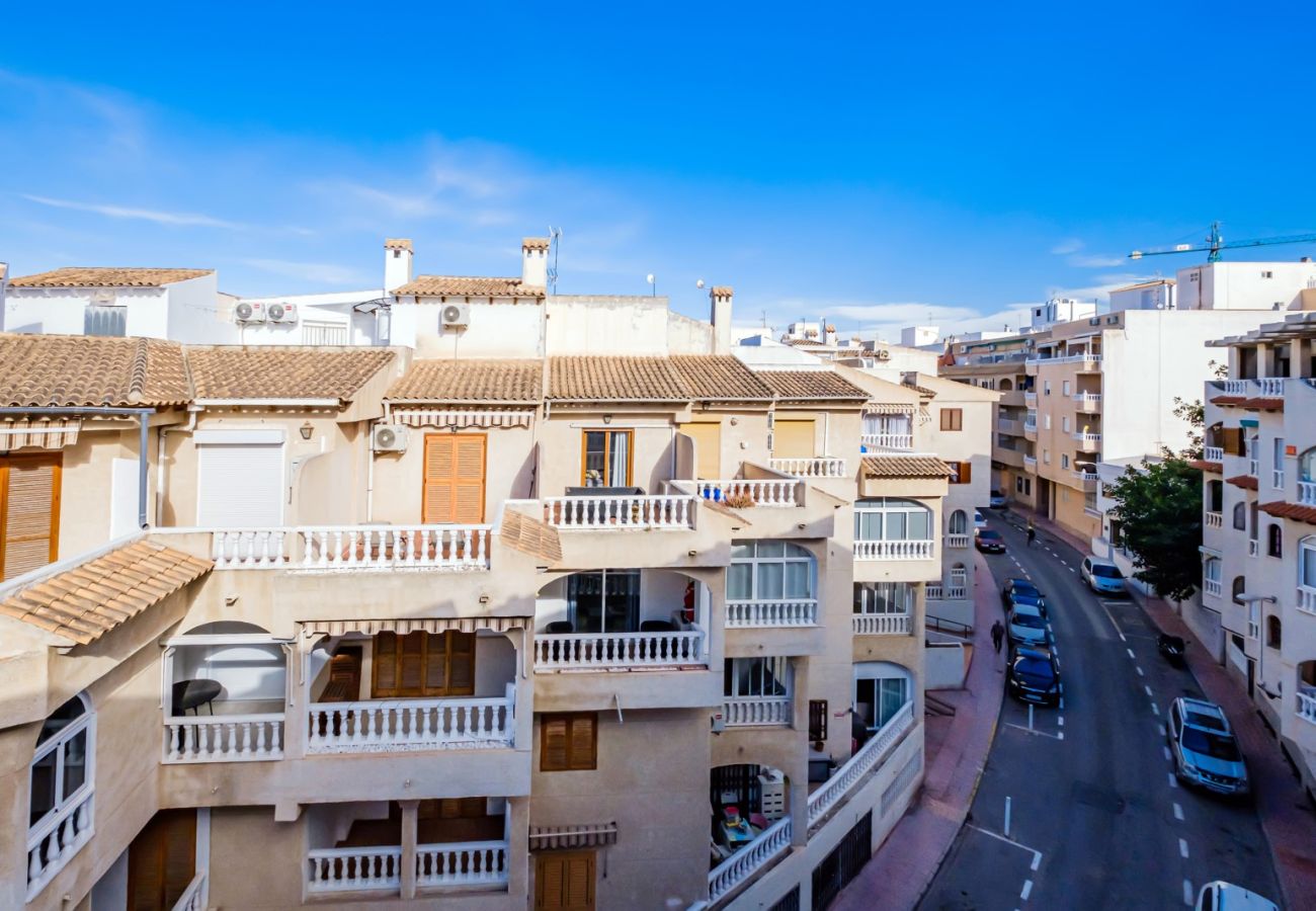 Apartment in Torrevieja - ID96