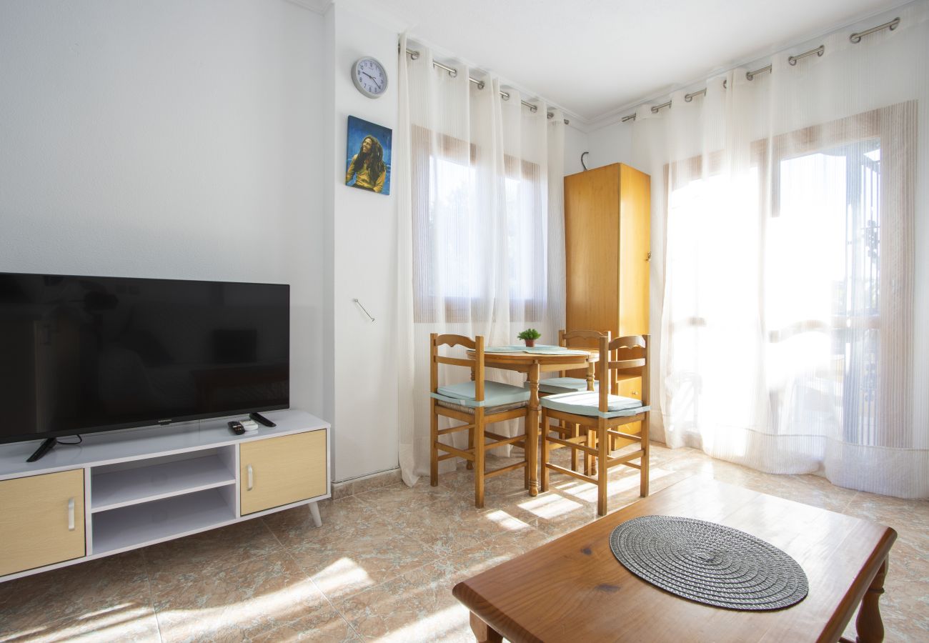 Apartment in Torrevieja - ID73