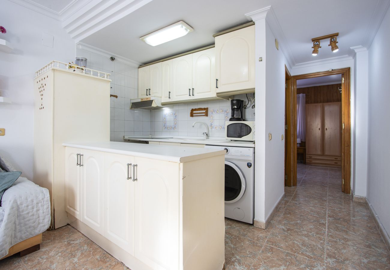 Apartment in Torrevieja - ID73