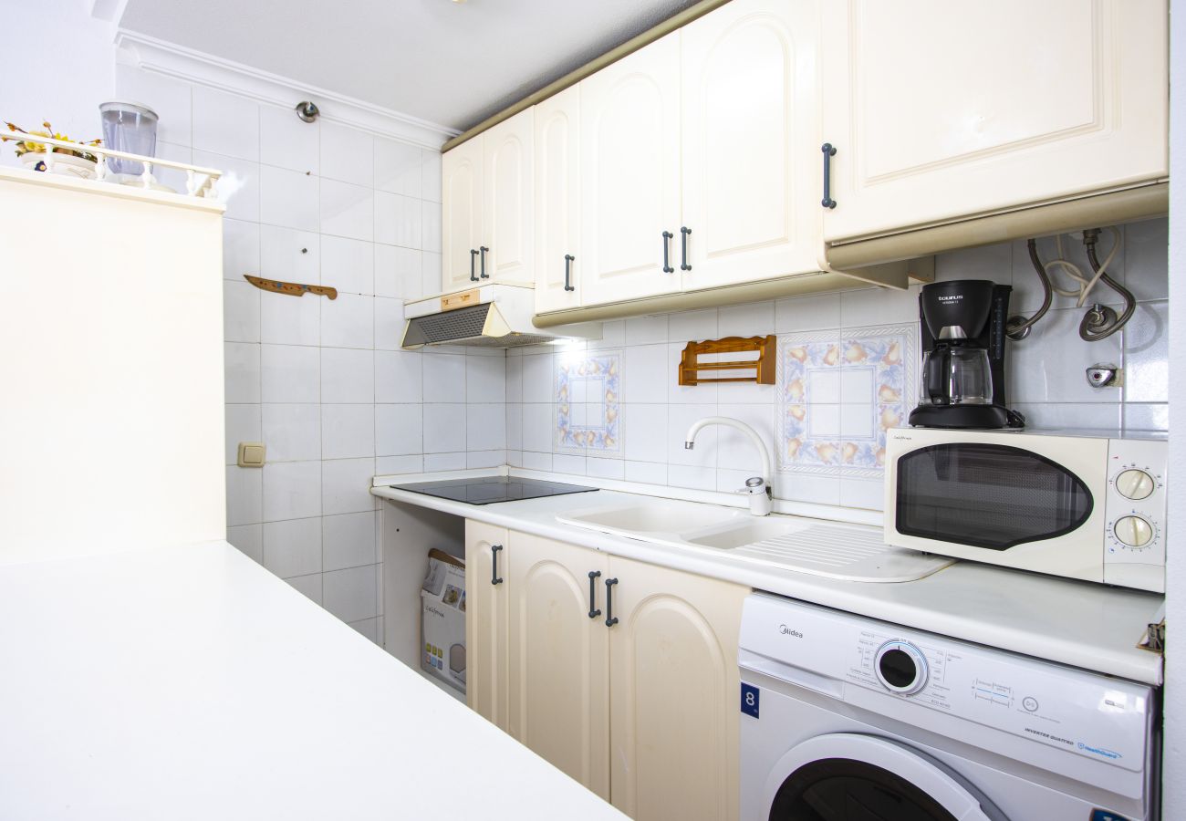 Apartment in Torrevieja - ID73
