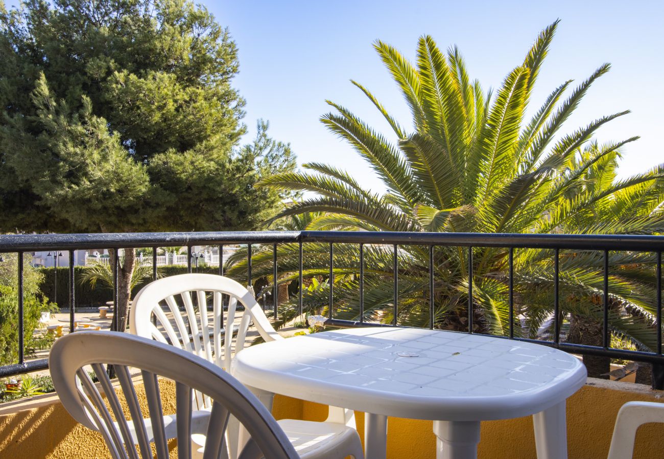 Apartment in Torrevieja - ID73