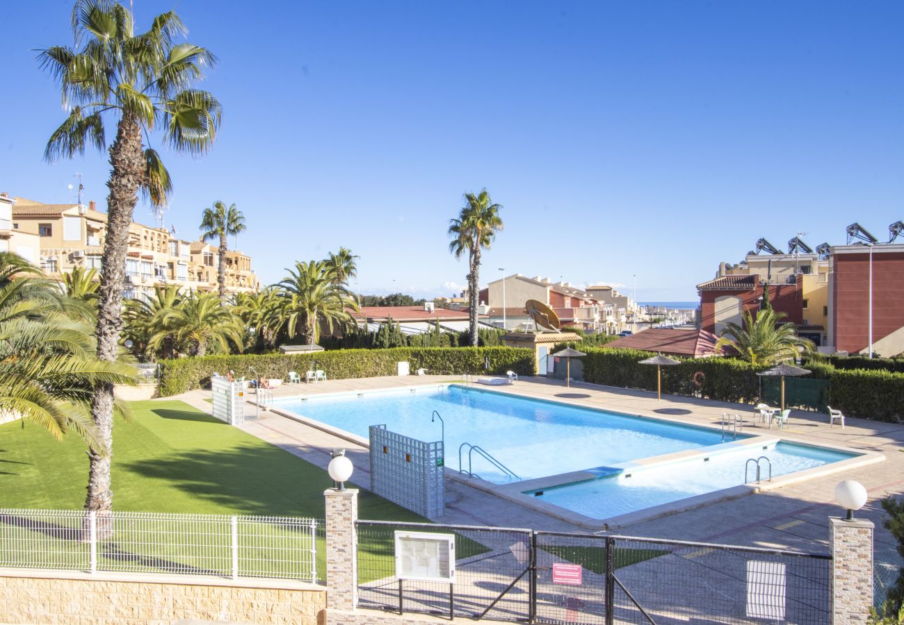 Apartment in Torrevieja - ID73