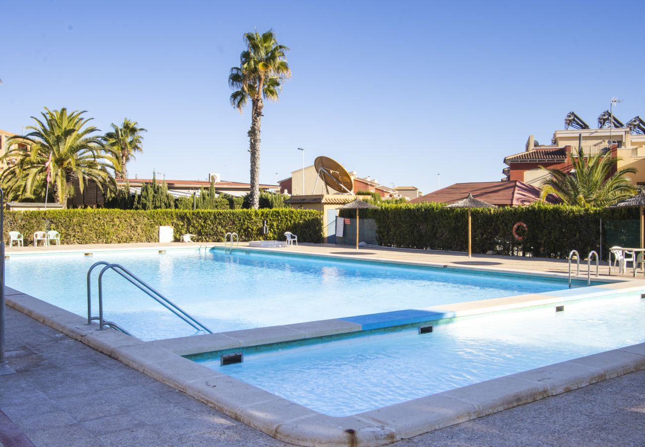Apartment in Torrevieja - ID73