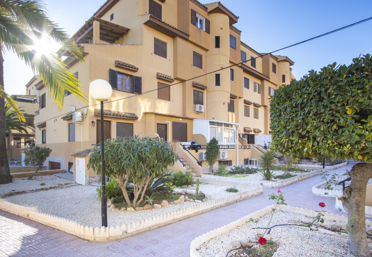 Apartment in Torrevieja - ID73