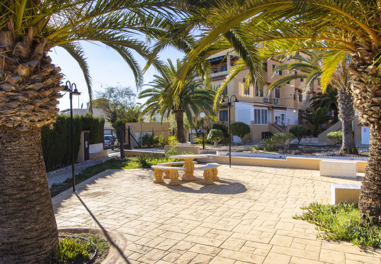 Apartment in Torrevieja - ID73