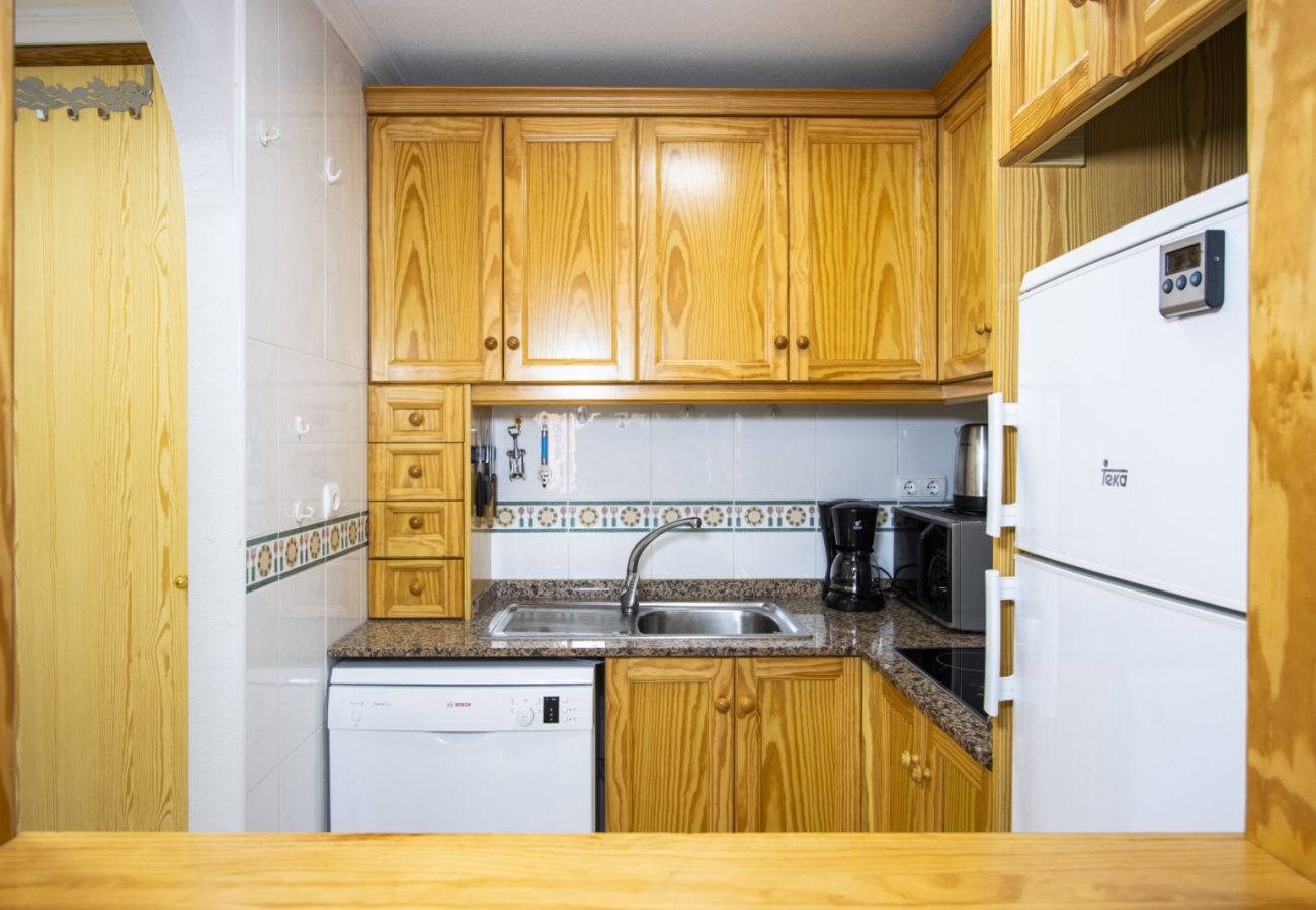 Apartment in Torrevieja - ID89