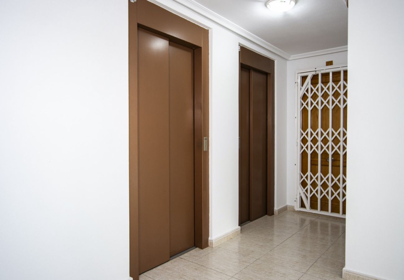 Apartment in Torrevieja - ID89