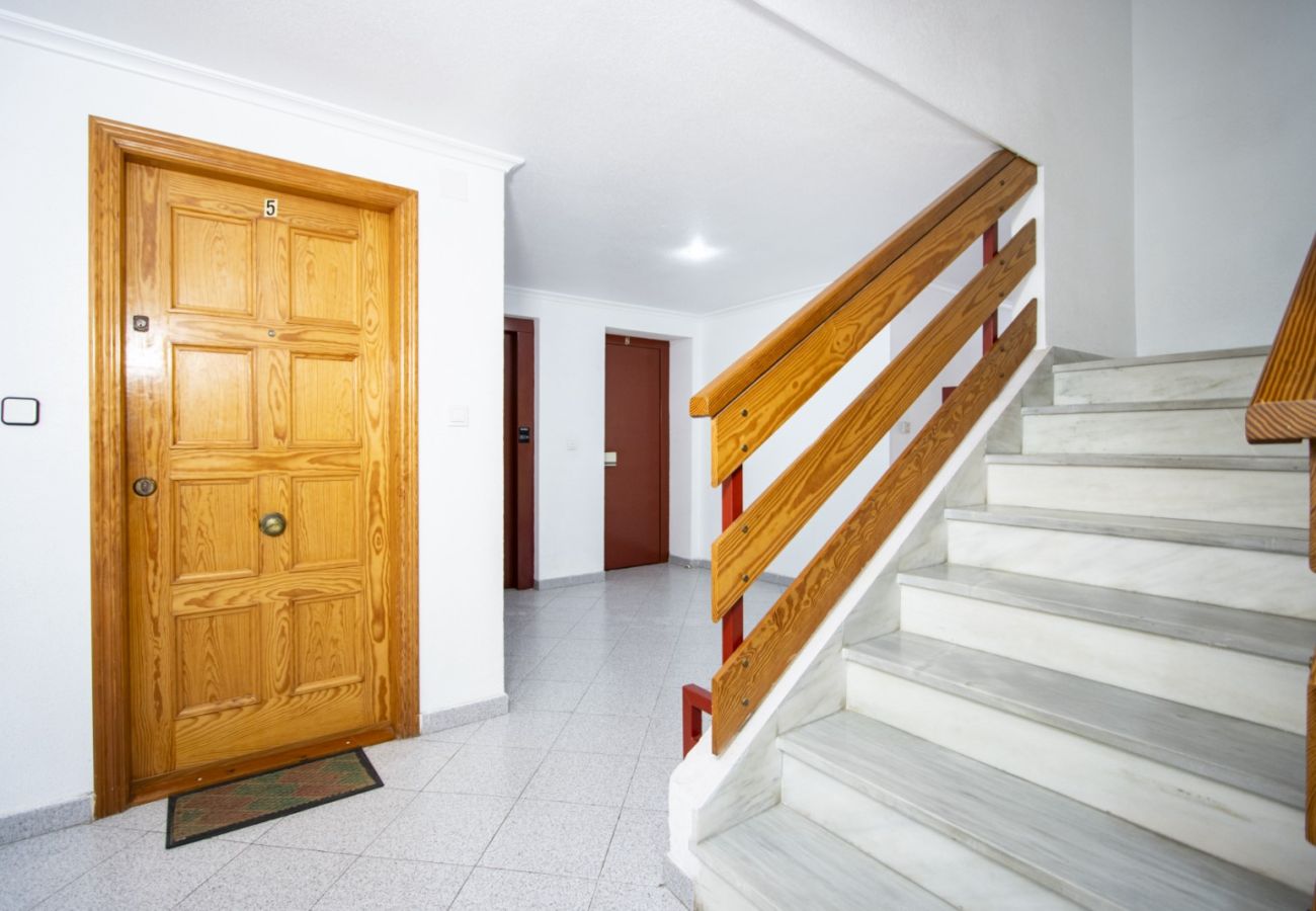 Apartment in Torrevieja - ID22