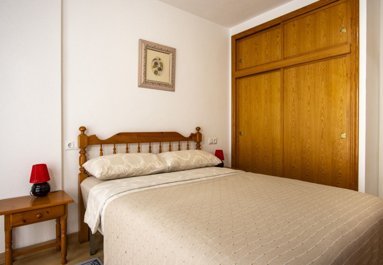 Apartment in Torrevieja - ID22