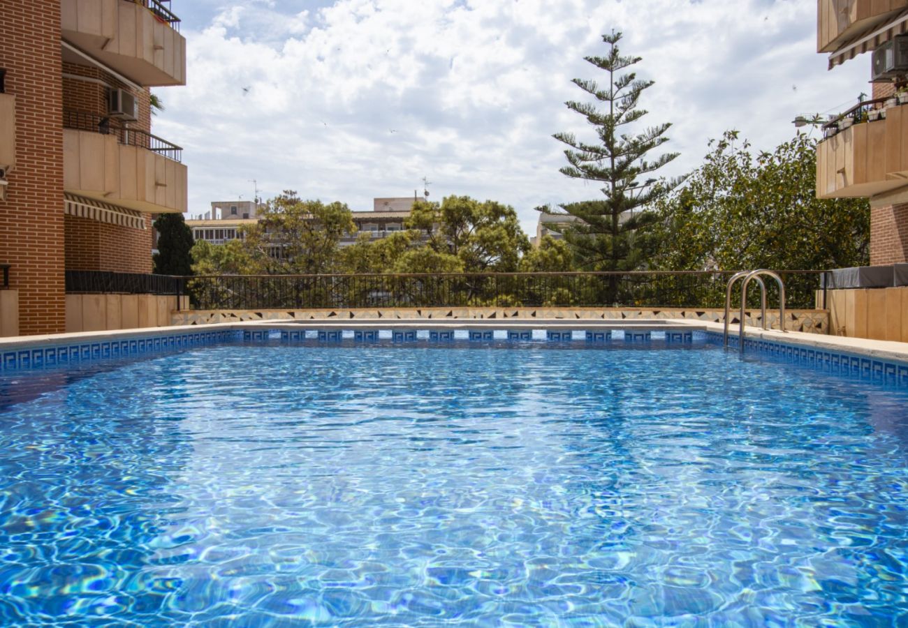 Apartment in Torrevieja - ID22