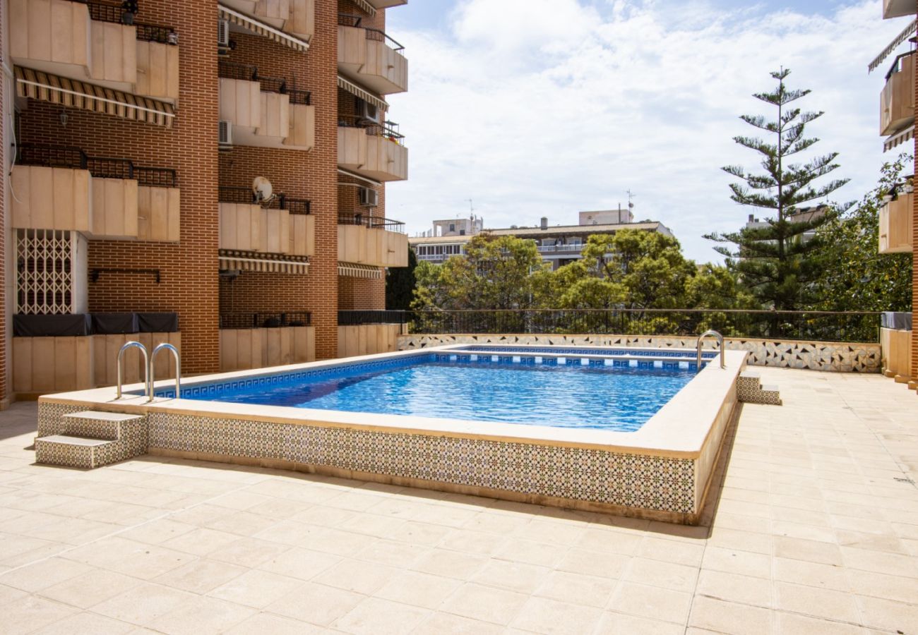 Apartment in Torrevieja - ID22