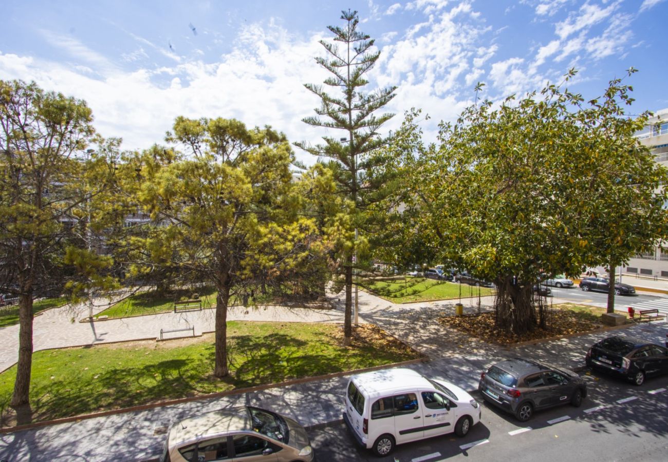 Apartment in Torrevieja - ID22