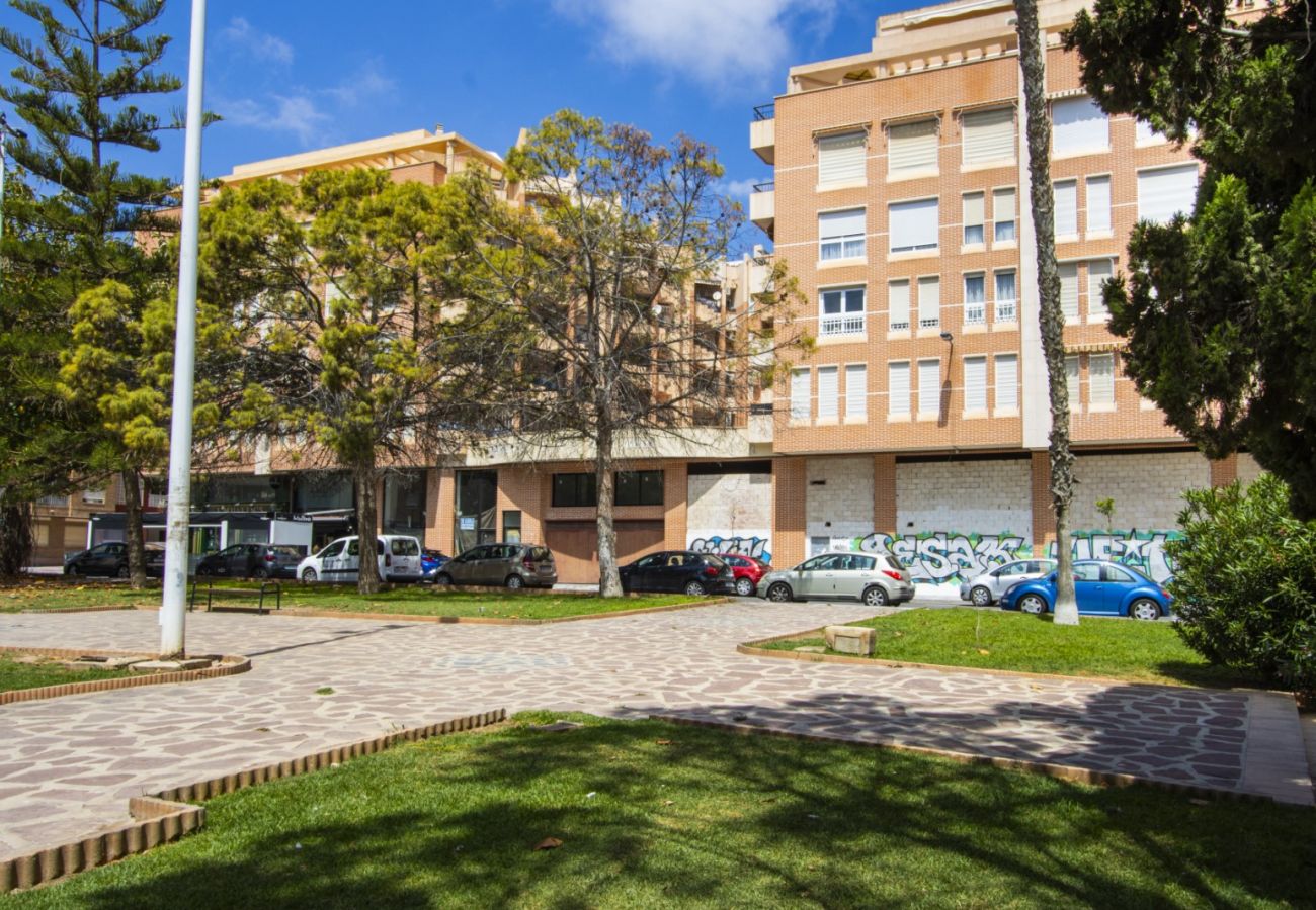 Apartment in Torrevieja - ID22