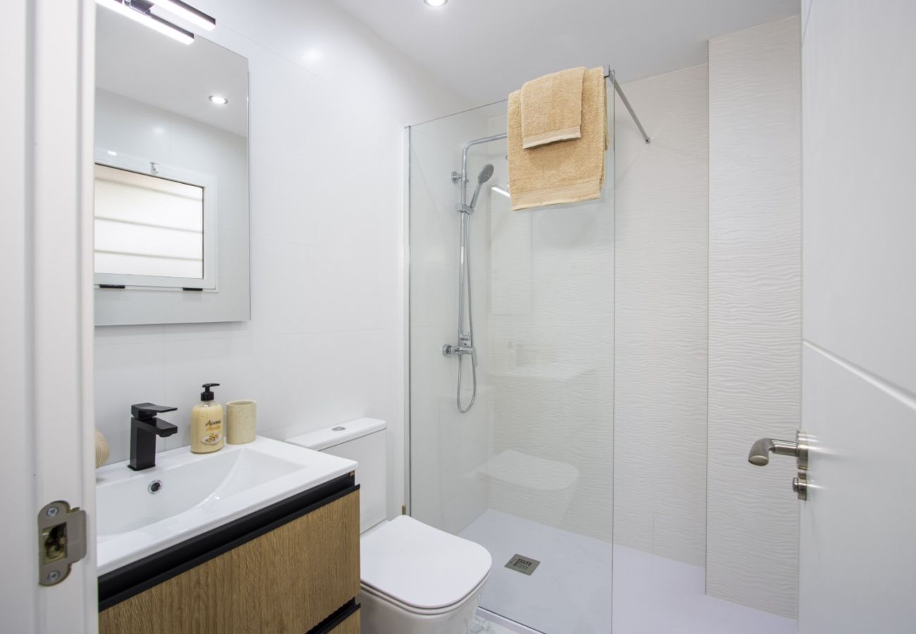 Apartment in Torrevieja - ID159