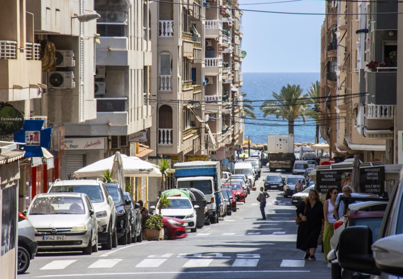 Apartment in Torrevieja - ID159