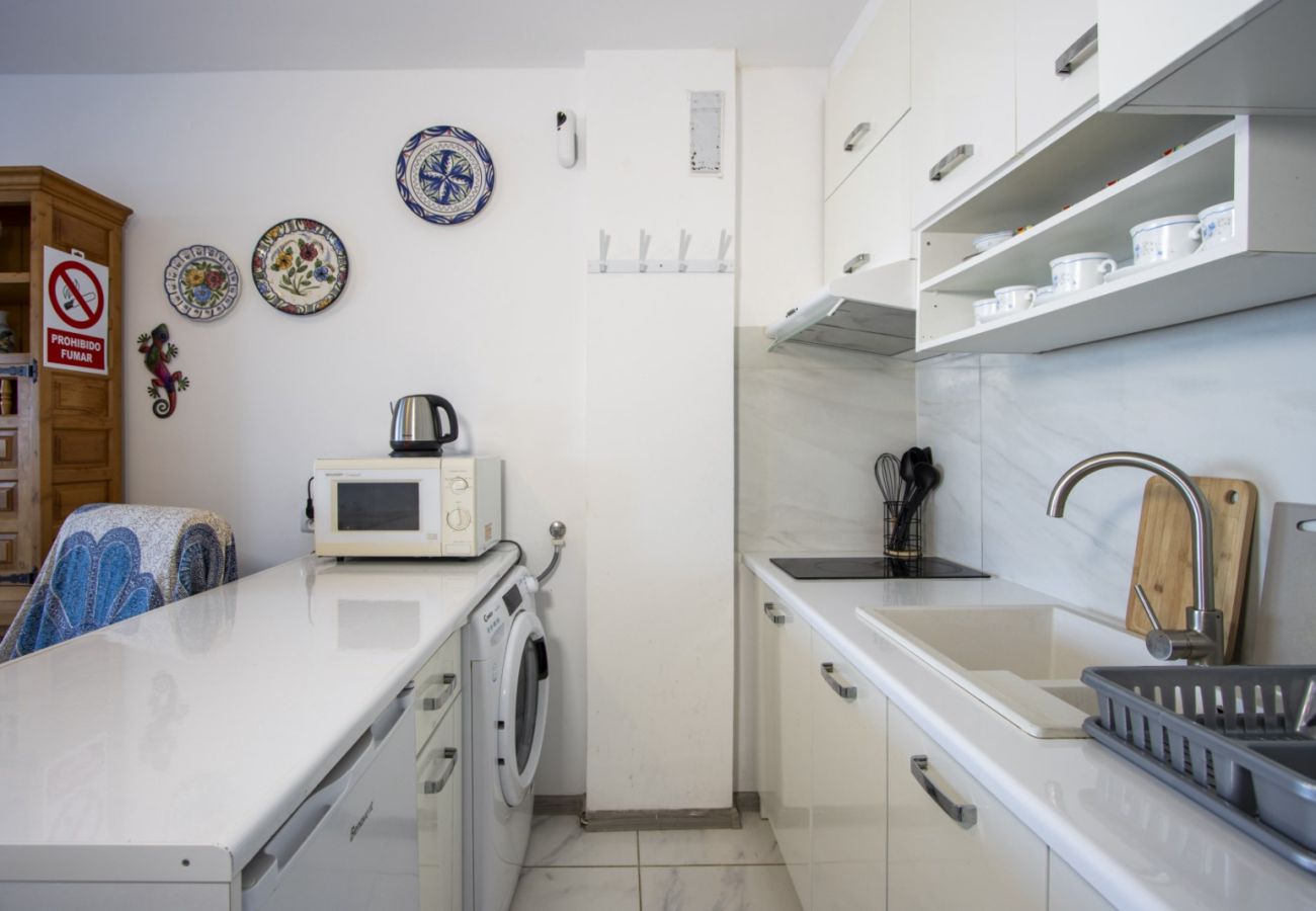 Apartment in Torrevieja - ID162