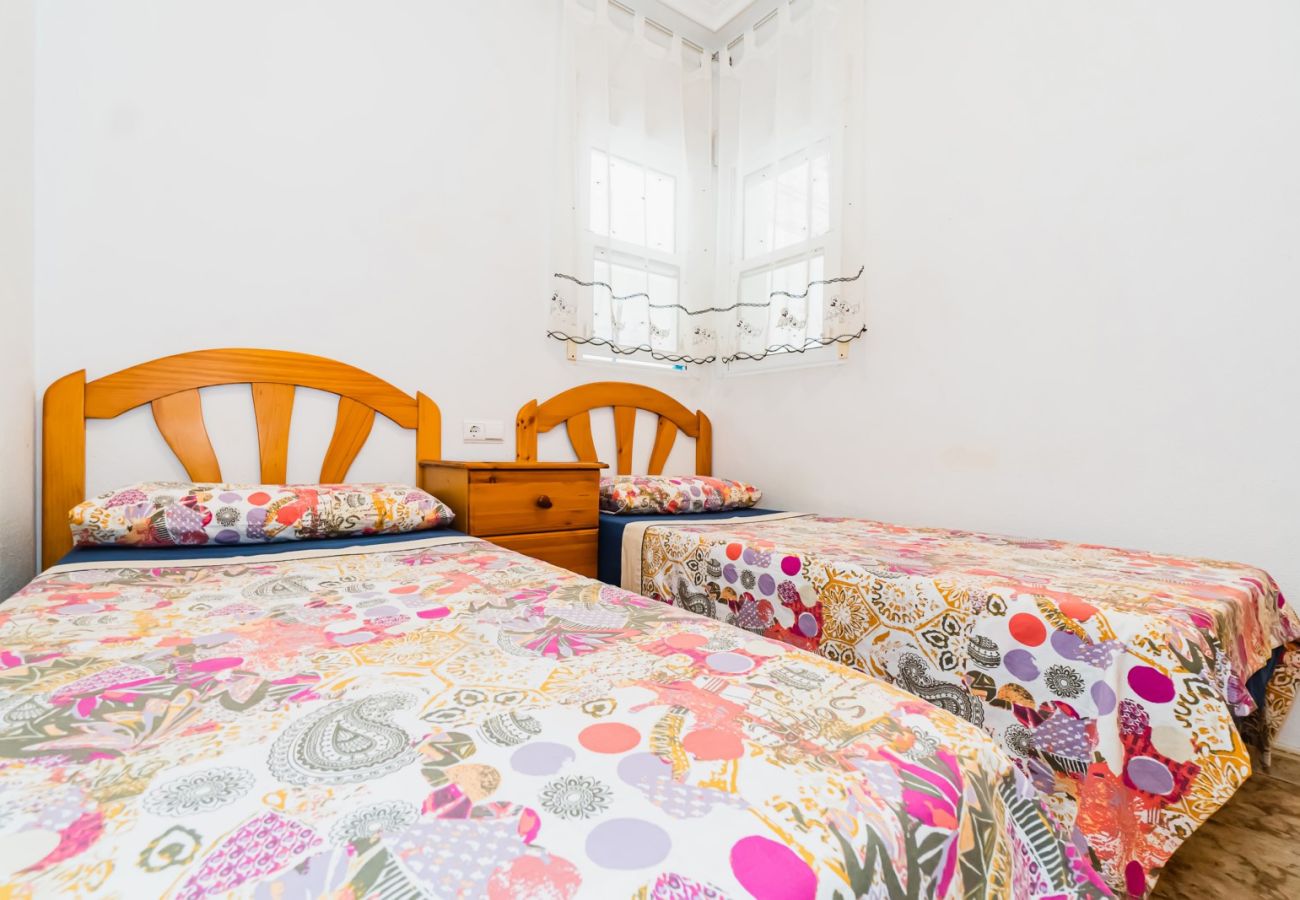 Apartment in Torrevieja - ID110