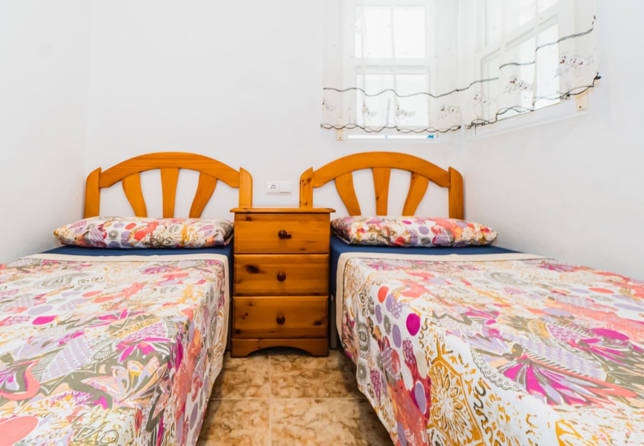 Apartment in Torrevieja - ID110