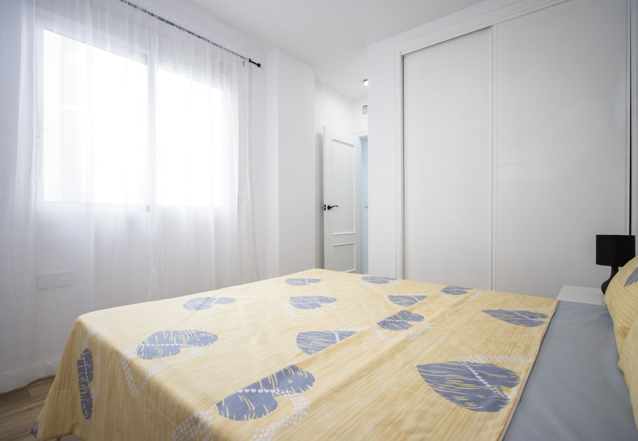 Apartment in Torrevieja - ID82