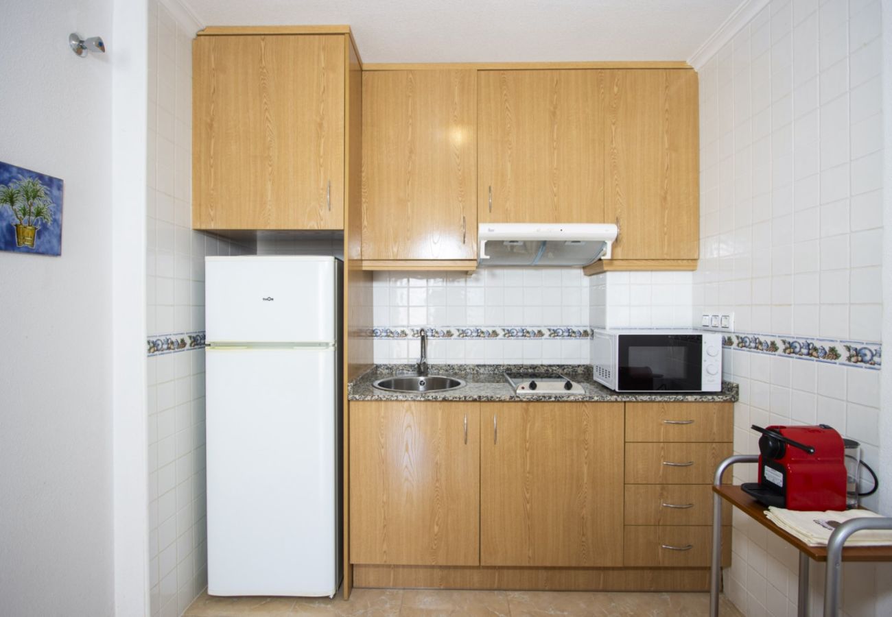 Apartment in Torrevieja - ID15