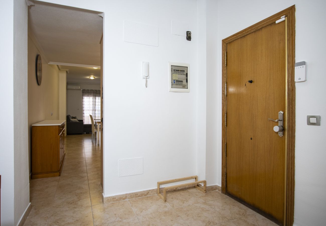 Apartment in Torrevieja - ID54