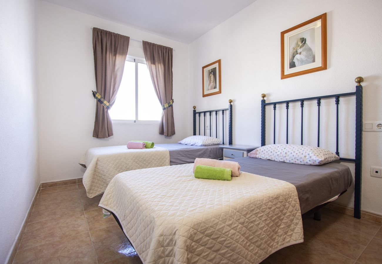 Apartment in Torrevieja - ID116