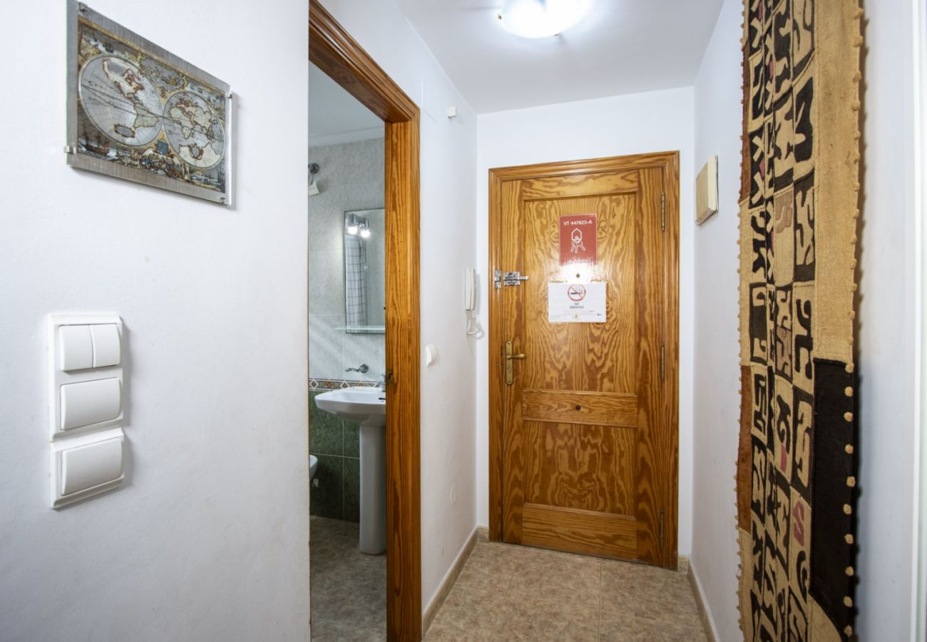 Apartment in Torrevieja - ID5