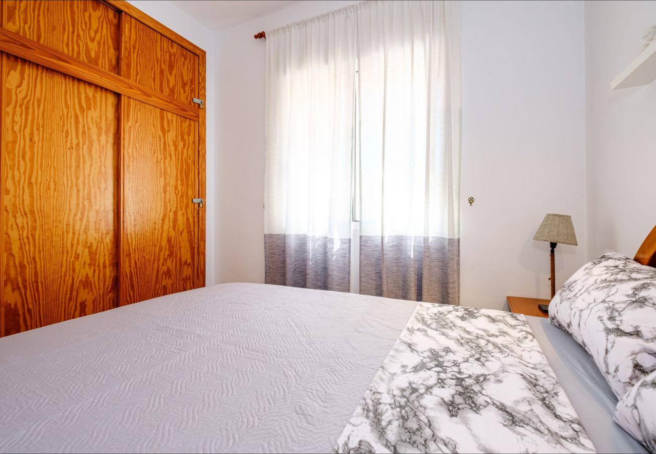 Apartment in Torrevieja - ID5