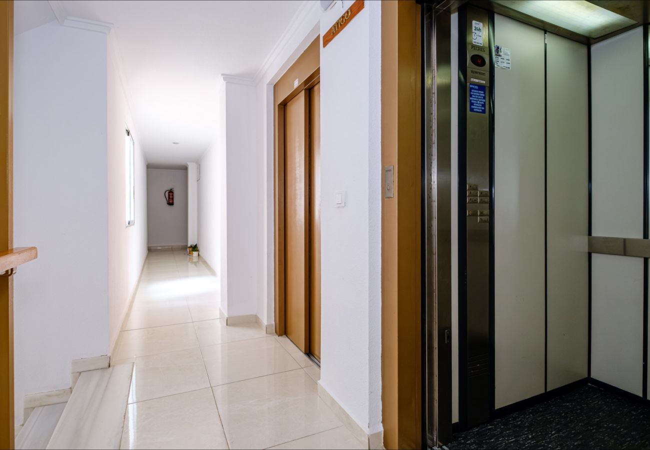 Apartment in Torrevieja - ID5