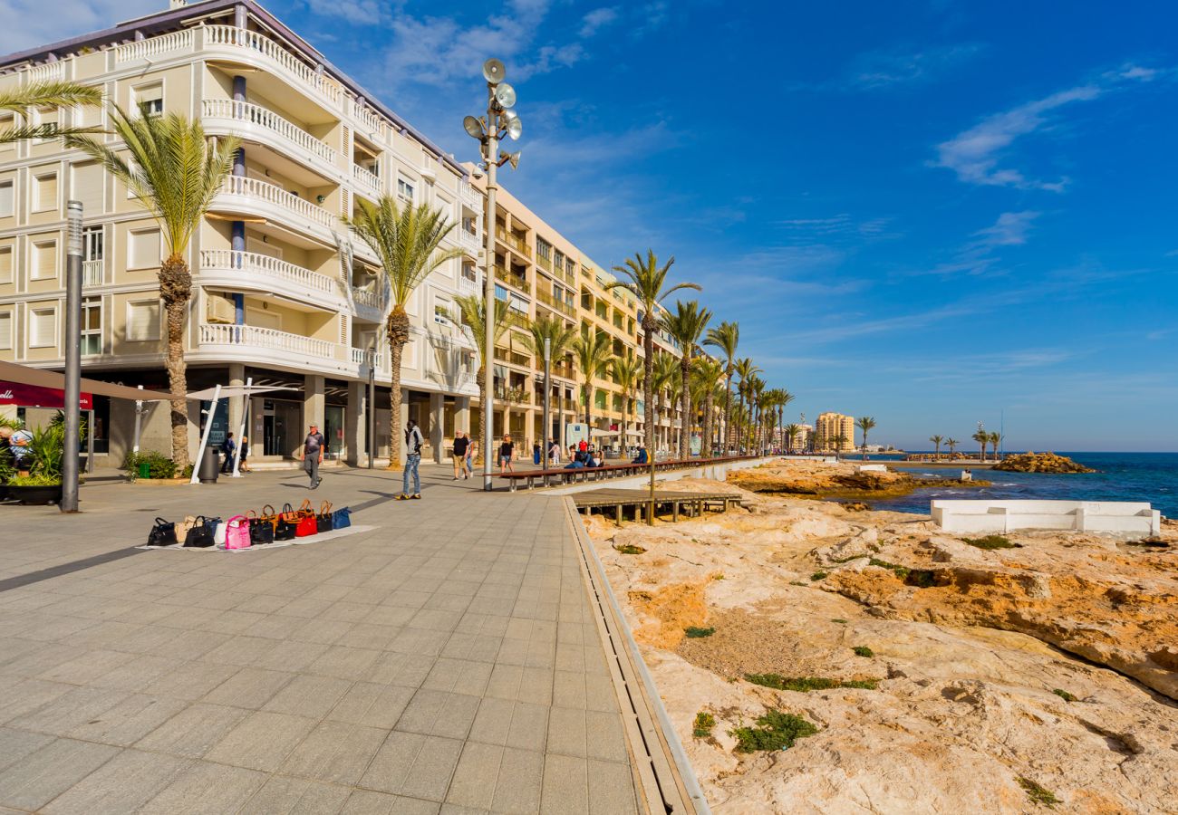 Apartment in Torrevieja - ID12