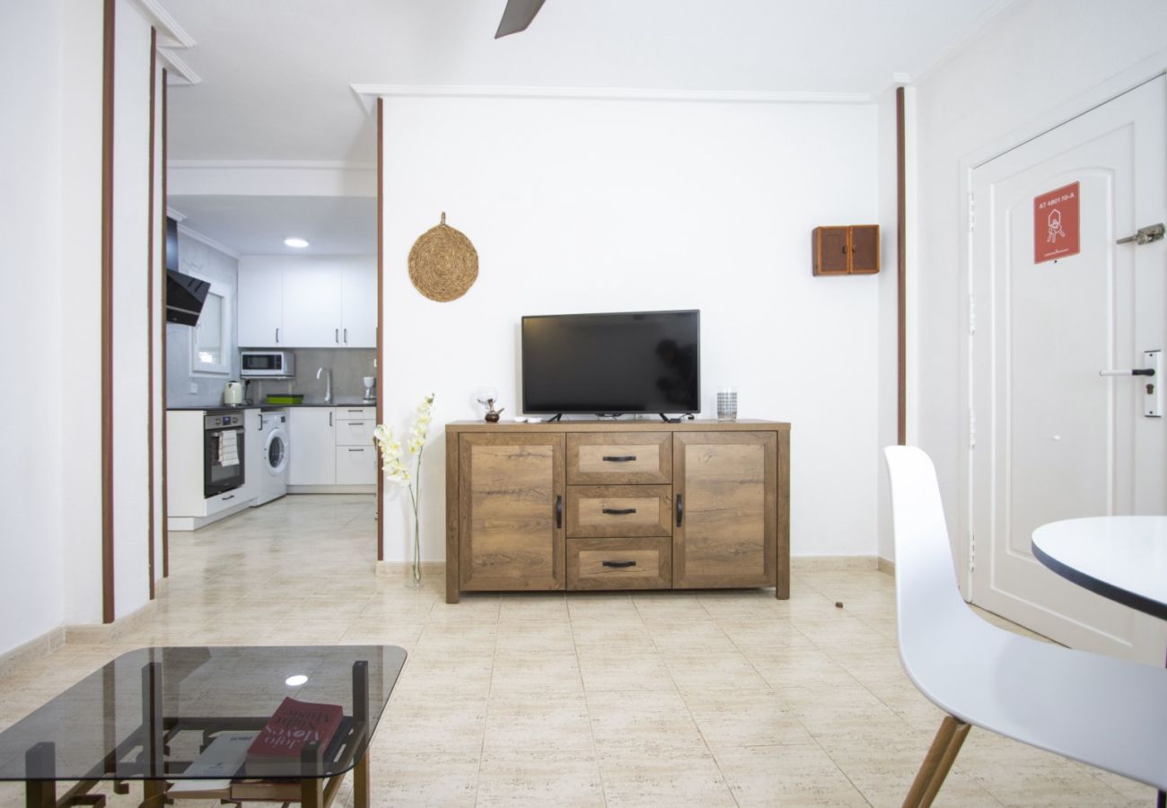 Apartment in Torrevieja - ID100