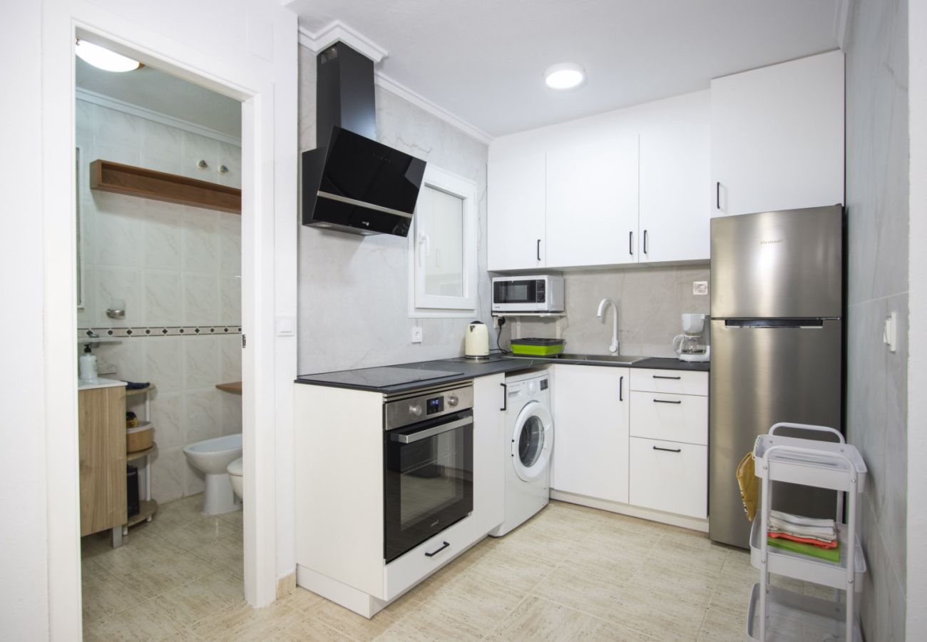 Apartment in Torrevieja - ID100