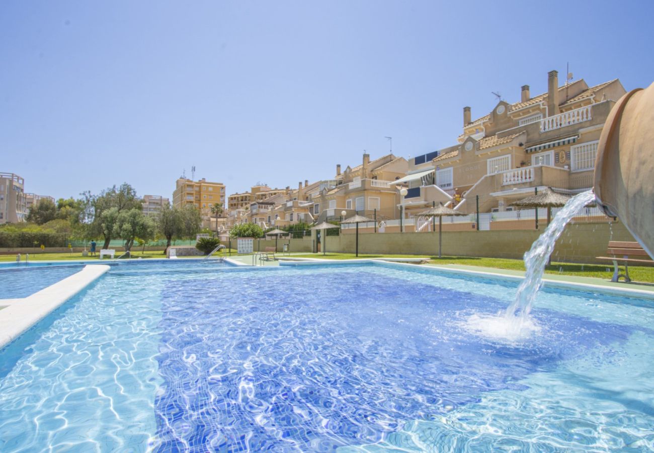 Apartment in Torrevieja - ID100