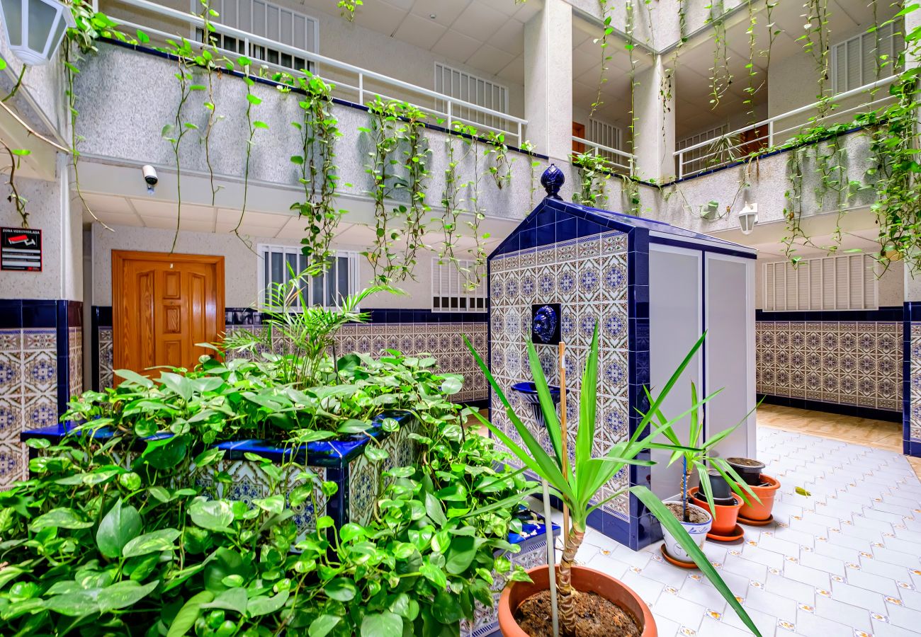 Apartment in Torrevieja - ID147