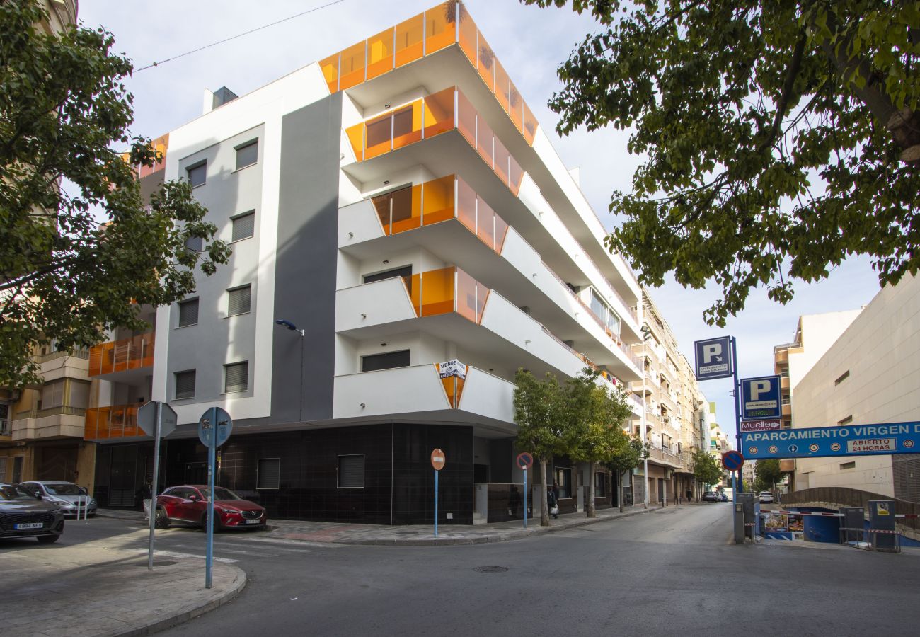 Apartment in Torrevieja - ID97