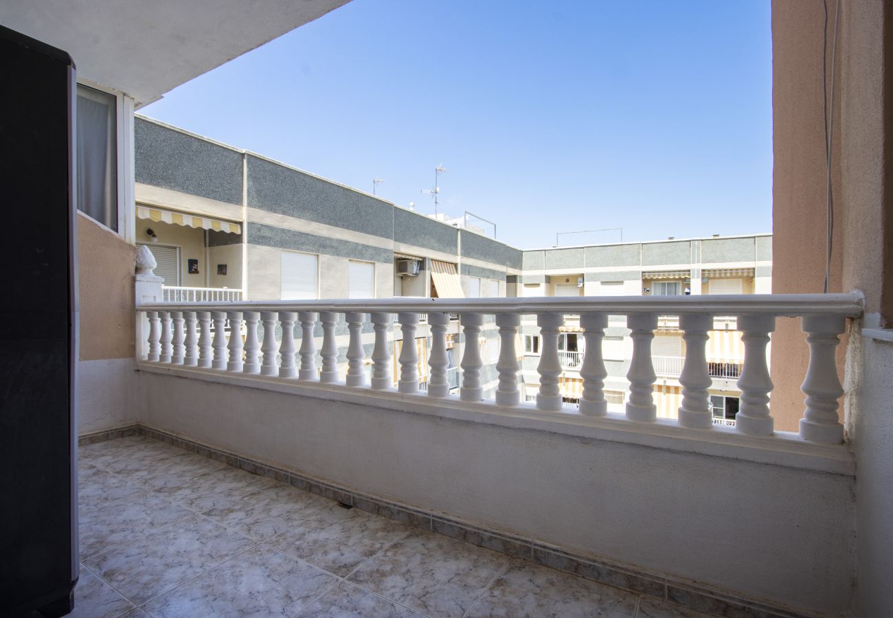 Apartment in Torrevieja - ID165