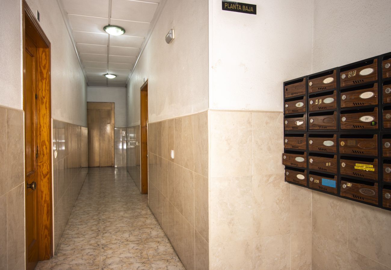 Apartment in Torrevieja - ID165