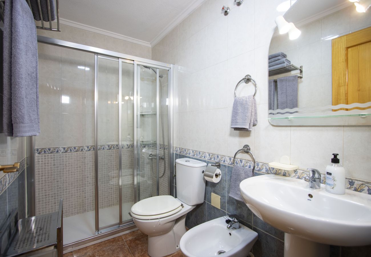 Apartment in Torrevieja - ID62