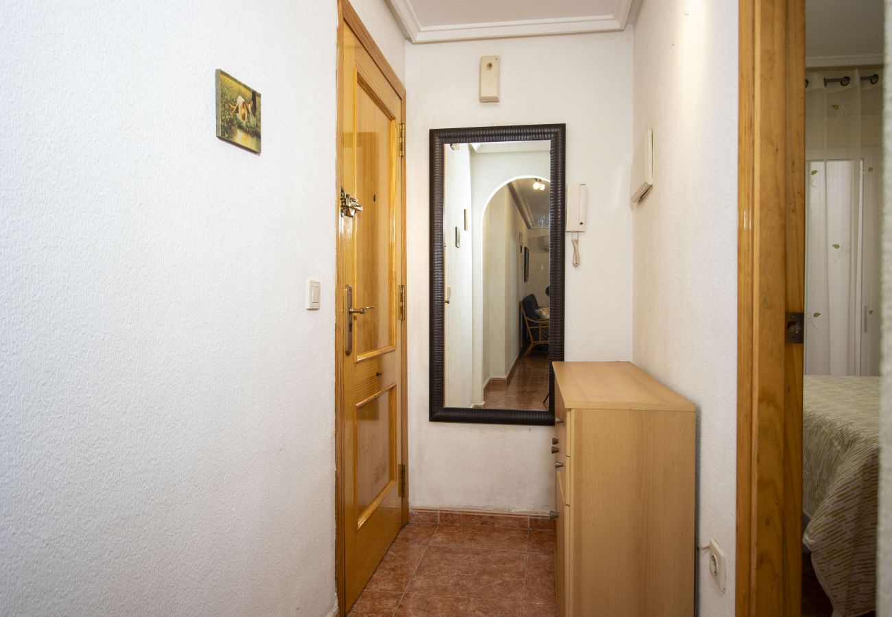 Apartment in Torrevieja - ID62