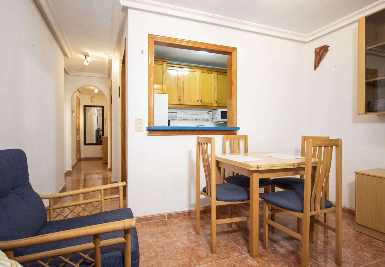 Apartment in Torrevieja - ID62