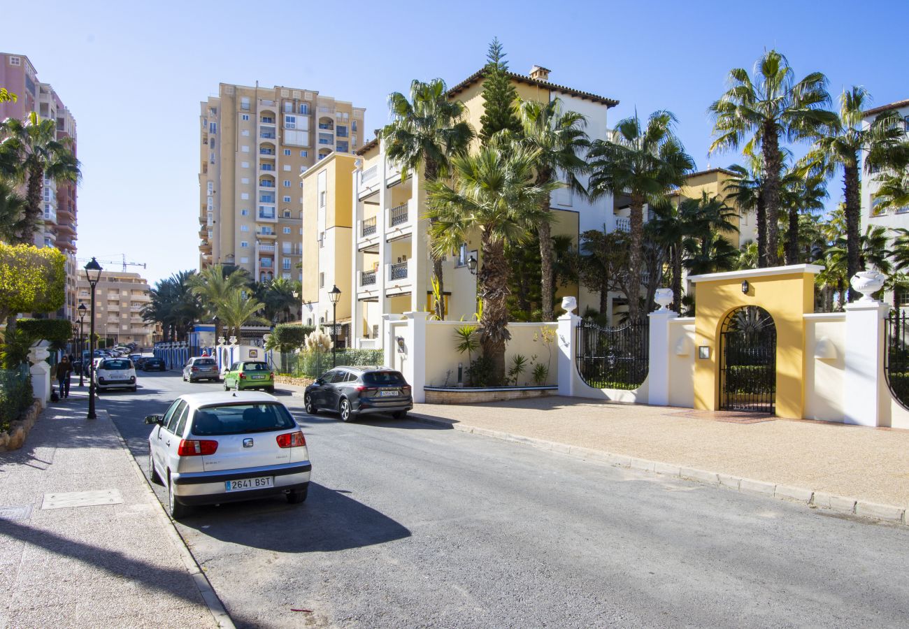 Apartment in Torrevieja - ID157