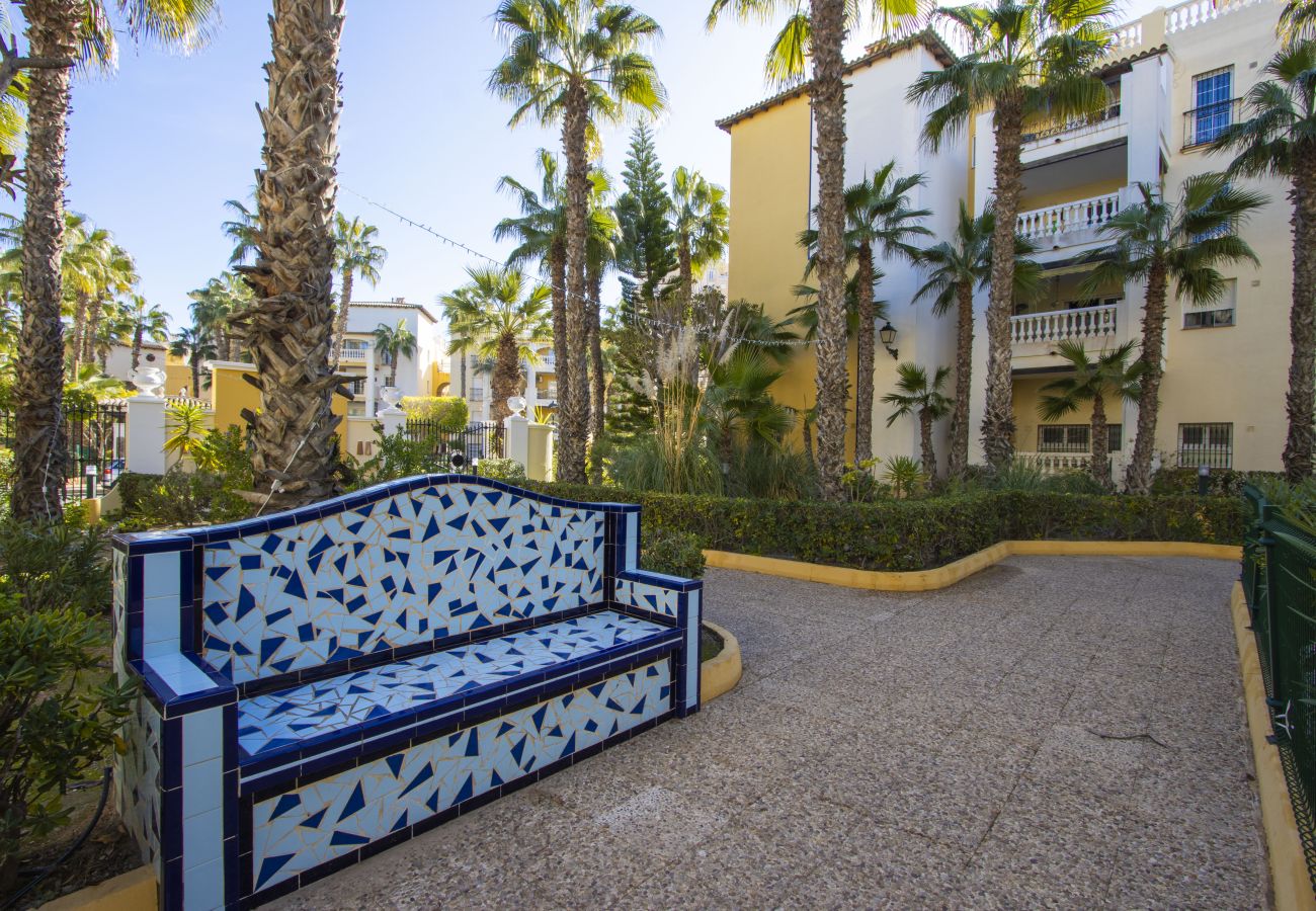 Apartment in Torrevieja - ID157