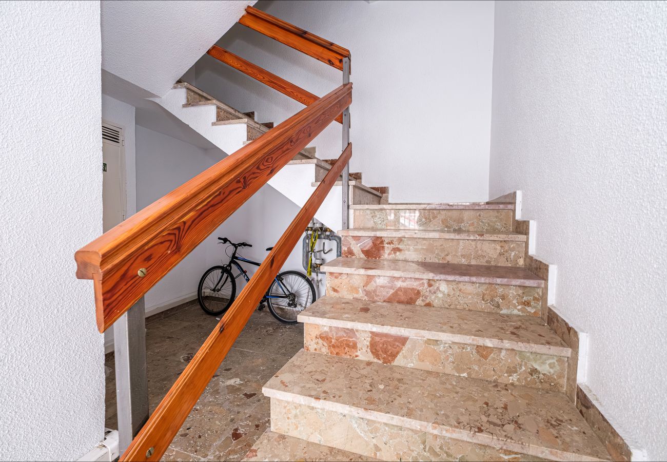 Apartment in Torrevieja - ID23