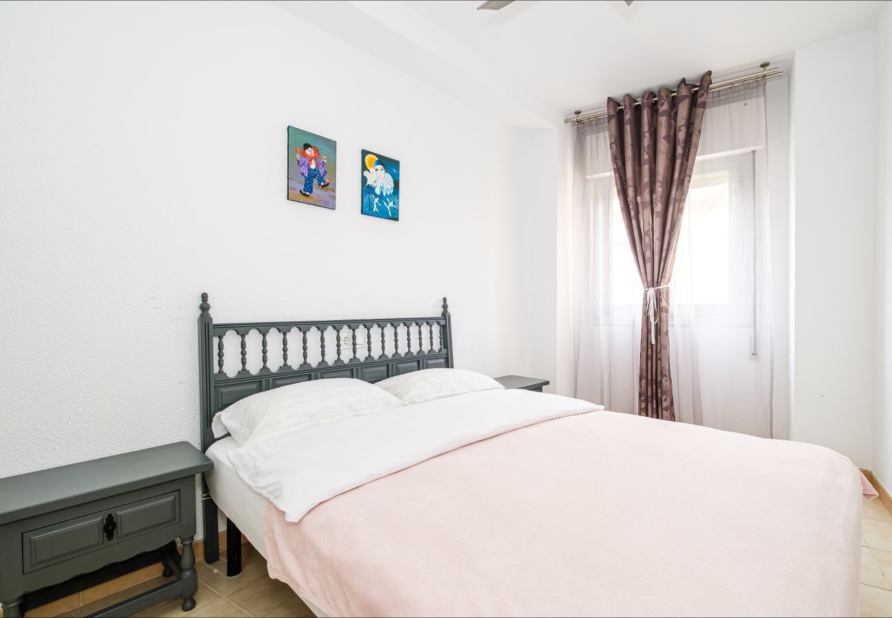 Apartment in Torrevieja - ID23