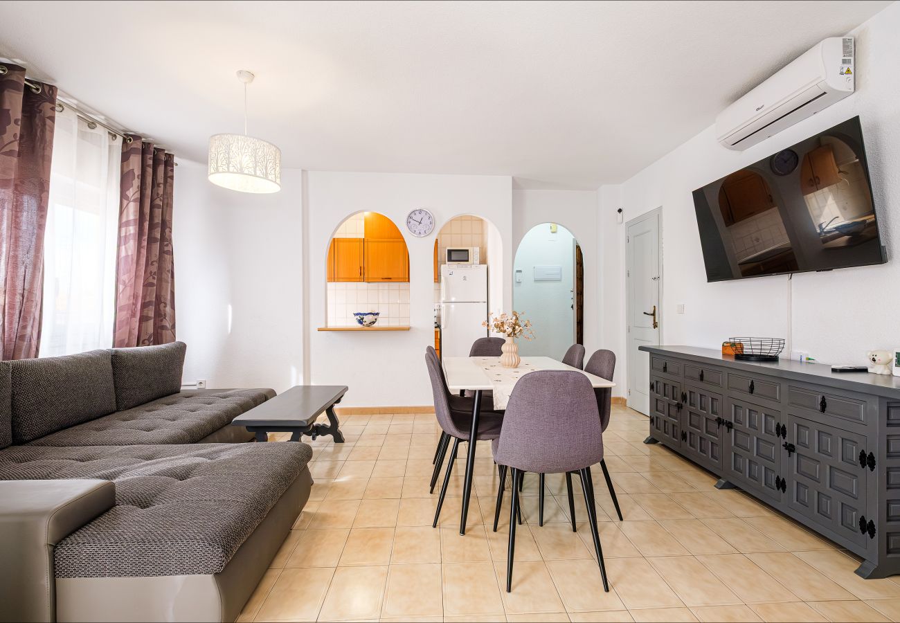 Apartment in Torrevieja - ID23
