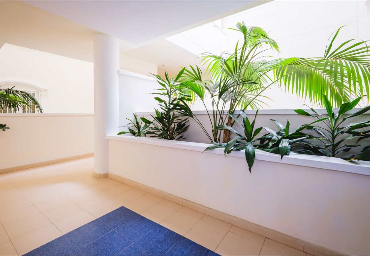 Apartment in Guardamar - ID111