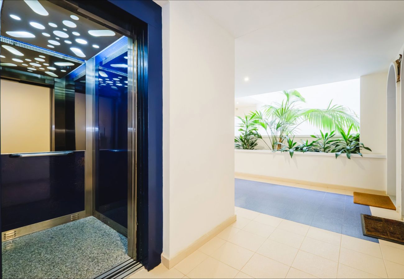 Apartment in Guardamar - ID111